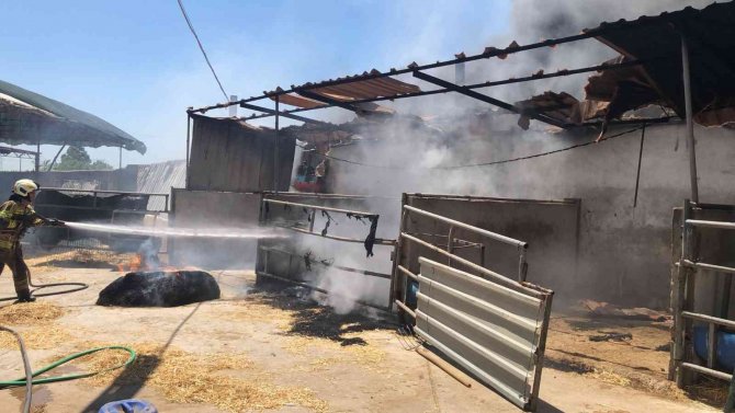 Seferihisar’daki İki Orman Yangınında 3 Ev, 12 Araç Ve 1 Bekçi Kulübesi Yandı