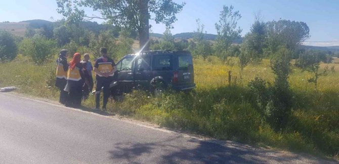 Kontrolden Çıkan Hafif Ticari Araç Ağaca Çarptı: 1 Yaralı