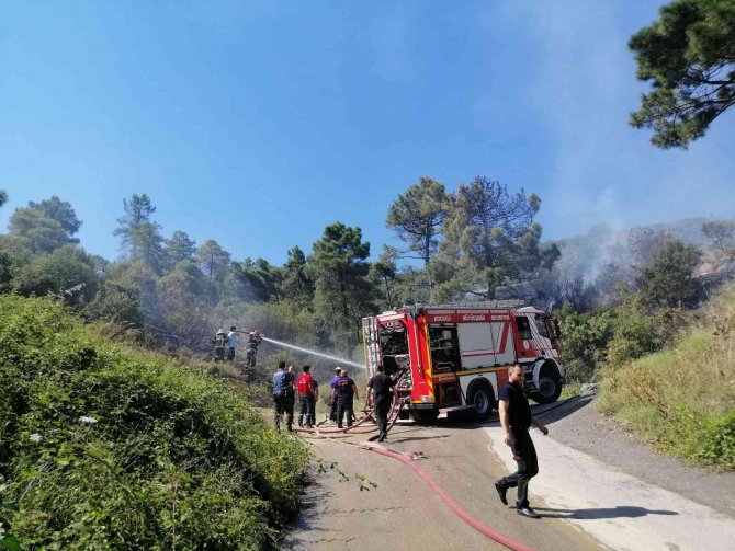 Kocaeli’de Ormanlık Alanda Yangın Çıktı