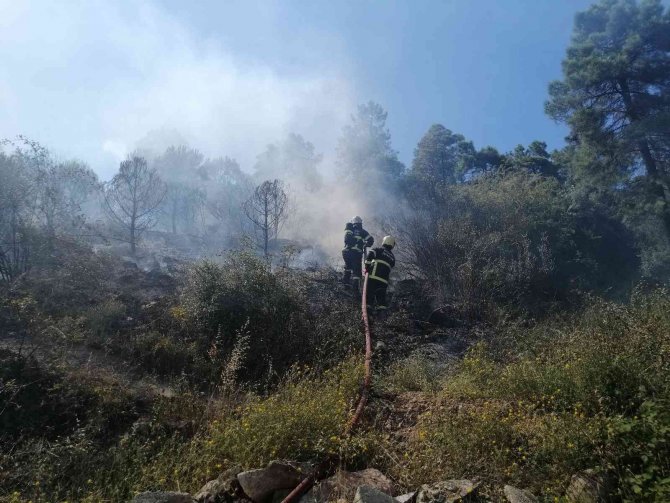 Kocaeli’de Ormanlık Alanda Yangın Çıktı
