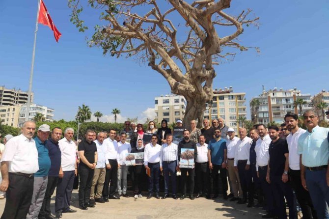 Mersin’de Yarım Asırlık Ağacın Kurutulmasına Tepkiler Sürüyor