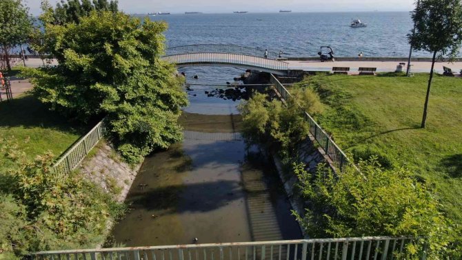 Pendik’te İ̇ski̇’ye Ait Atık Su Kanalından Yayılan Kötü Kokular Vatandaşı Bezdirdi