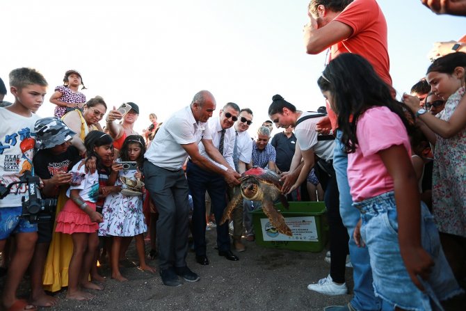 Yaralı Kaplumbağaya Kıbrıs Harekatı Anısına ‘Lara Barış’ İsmi Verildi