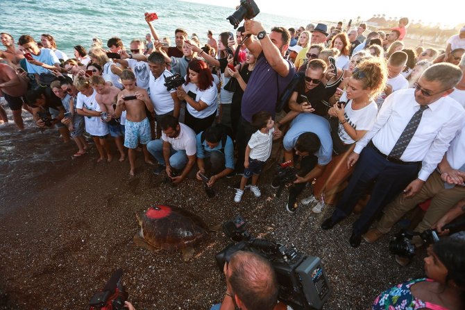 Yaralı Kaplumbağaya Kıbrıs Harekatı Anısına ‘Lara Barış’ İsmi Verildi