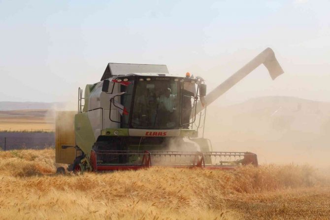 Siirt’te Son 20 Yılın En Bereketli Hasadı Yaşandı