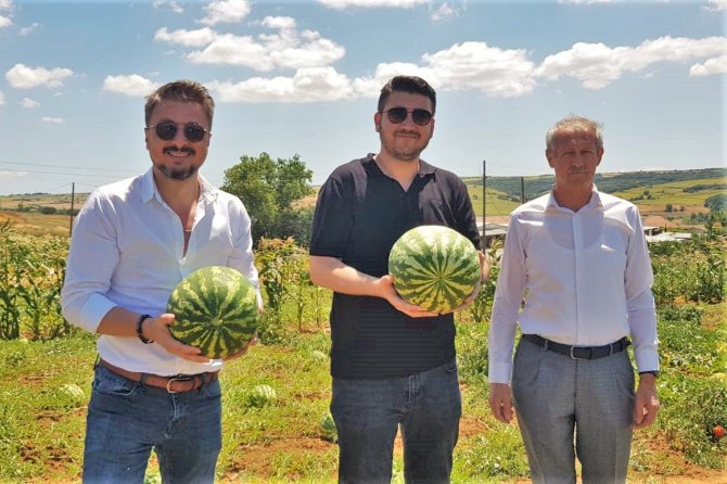 Karpuz Şenliği Hazırlıkları Tam Gaz Sürüyor