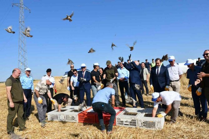 Tekirdağ’ın 40 Mahallesinde Doğaya 800 Keklik Salındı