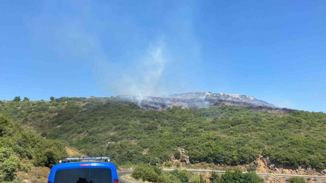 Tekirdağ’da Çıkan Orman Yangını Kontrol Altına Alındı