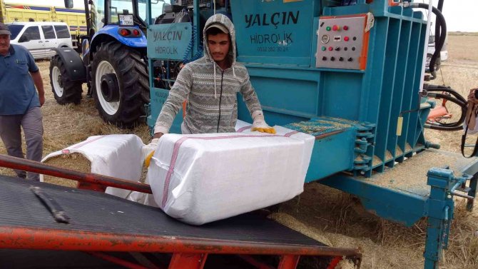 Yozgat’ta Saman Balyası Mesaisi Başladı