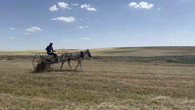 Yağmur Bereketinden Faydalanan Çiftçinin Yüzü Gülüyor