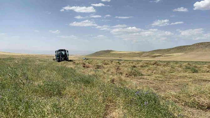 Yağmur Bereketinden Faydalanan Çiftçinin Yüzü Gülüyor
