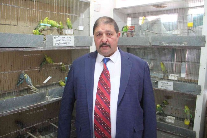 Petshoplar Kasaplar Odası’na Bağlandı