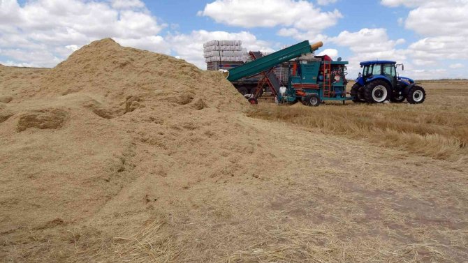 Yozgat’ta Saman Balyası Mesaisi Başladı