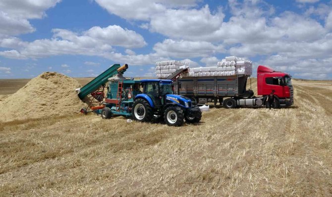 Yozgat’ta Saman Balyası Mesaisi Başladı