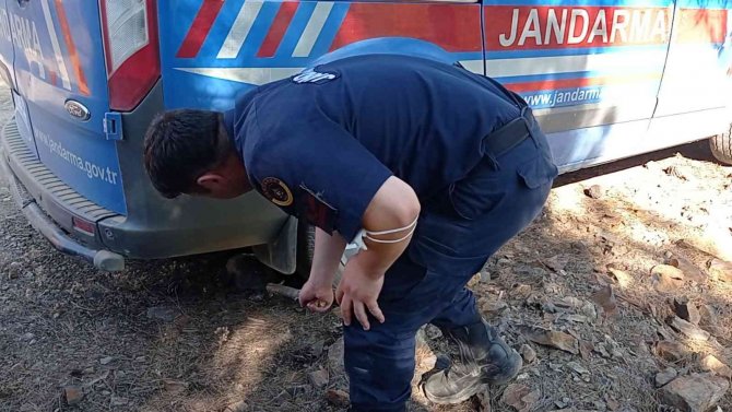 Orman Yangınında Yürek Burkan Görüntüler