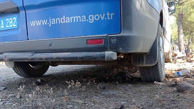 Orman Yangınında Yürek Burkan Görüntüler