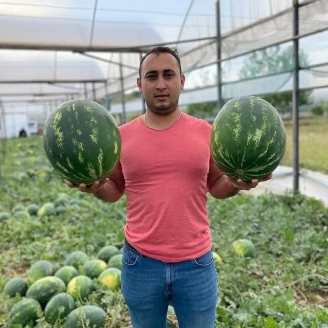 Antalya’da Motosiklet Kazası: 2 Ölü