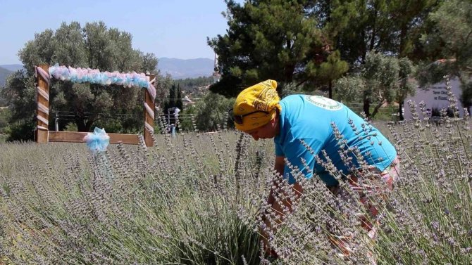 Bodrum Belediyesi, Kendi Yağını Üretiyor