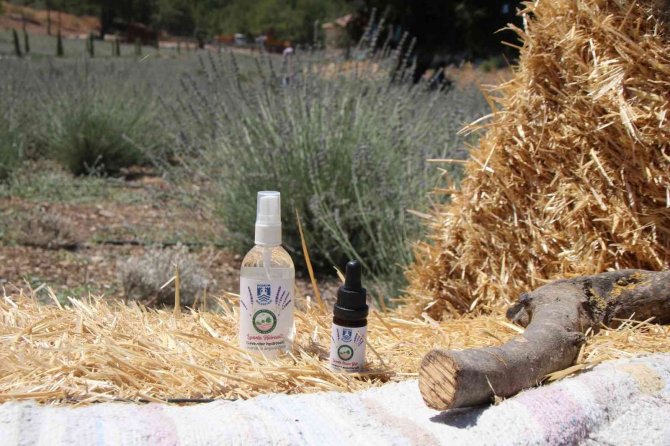 Bodrum Belediyesi, Kendi Yağını Üretiyor