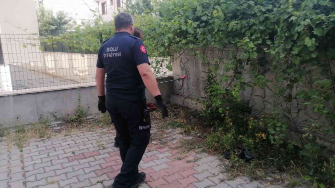 Çocukların Bahçede Oynarken Karşılaştığı Yılan Doğaya Salındı