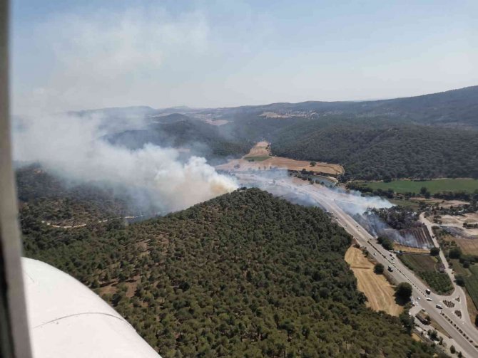 Çanakkale’deki Orman Yangını Kontrol Altında