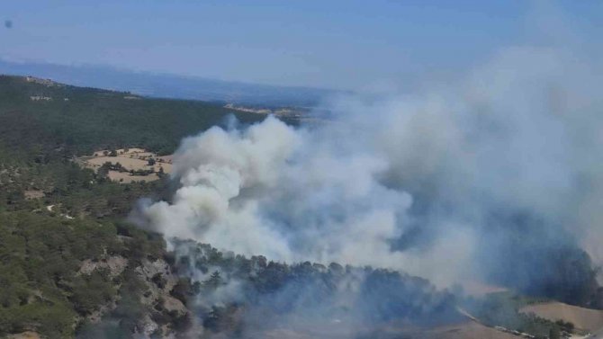 Çanakkale’deki Orman Yangını Kontrol Altında