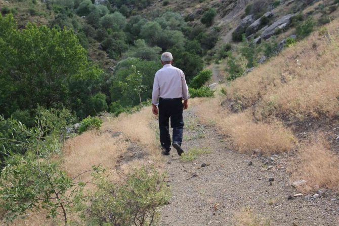 Ölbe Vadisi Ve Deve Mağarası Turizme Kazandırılmayı Bekliyor