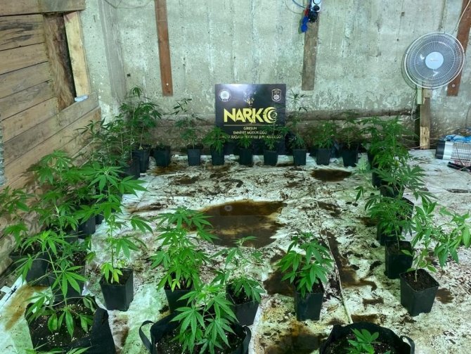 Giresun’da Bodrum Katını Uyuşturucu Serasına Dönüştüren Şahıslar Tutuklandı