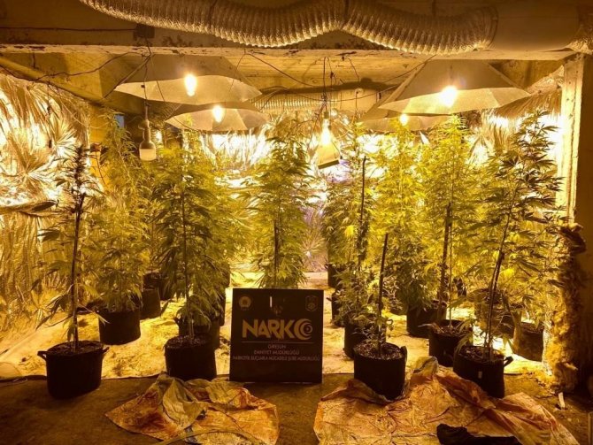 Giresun’da Bodrum Katını Uyuşturucu Serasına Dönüştüren Şahıslar Tutuklandı