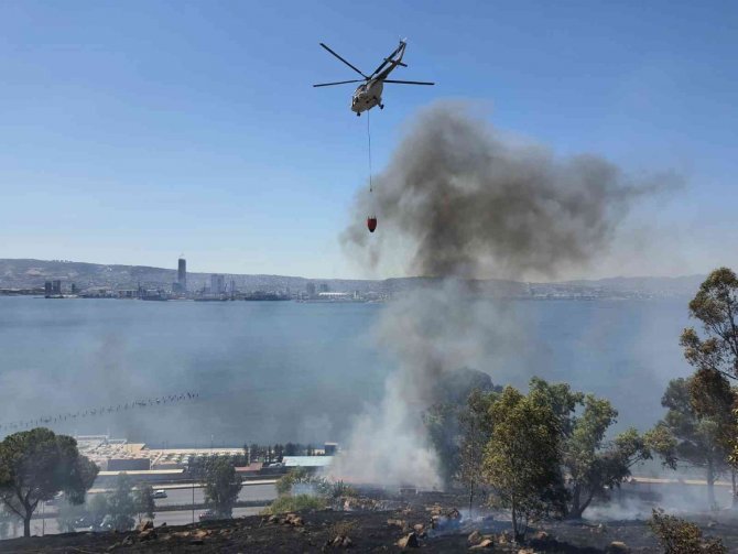 İ̇zmir’de Otluk Alanda Yangın