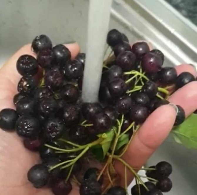 Alzheimer Yaşam Evi’nde ‘Süper Meyve’ Bereketi