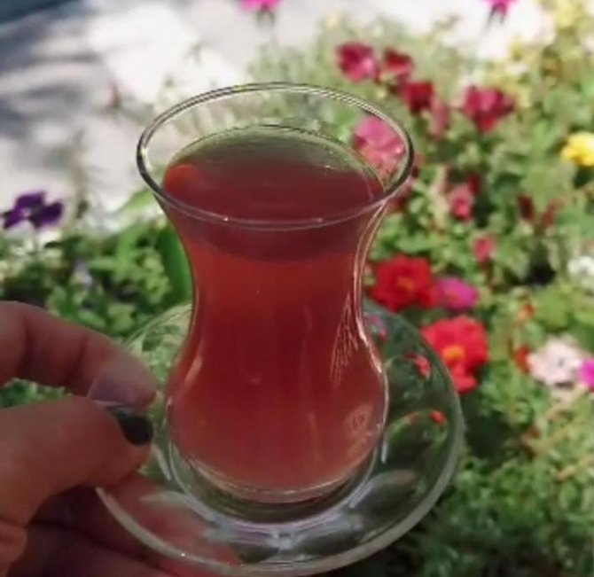 Alzheimer Yaşam Evi’nde ‘Süper Meyve’ Bereketi