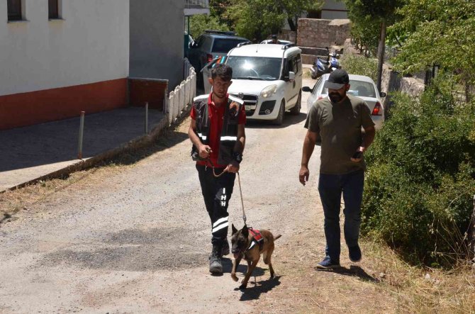 Yaşlı Kadını Arama Çalışmalarına Skorsky Tipi Helikopter De Dâhil Oldu