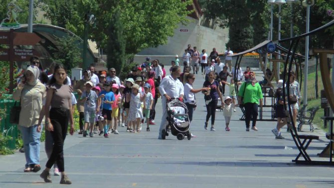 Hayvanların Sıcak Havada ‘Buz Kokteyli’ Keyfi