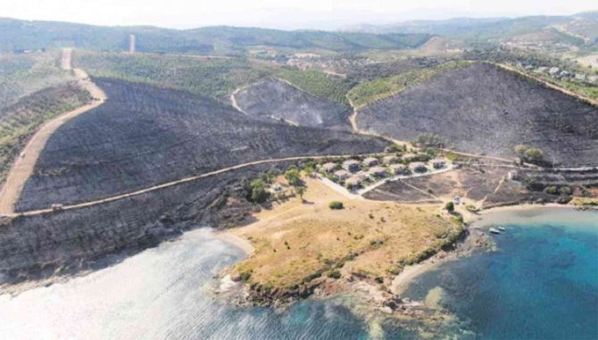 Seferihisar’da Çıkan Yangına Erken Müdahale