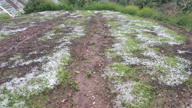 Siirtli Çiftçilere 1,5 Milyon Lira Yardım