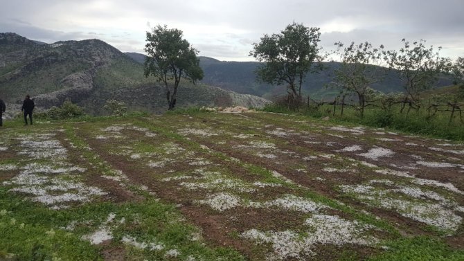 Siirtli Çiftçilere 1,5 Milyon Lira Yardım