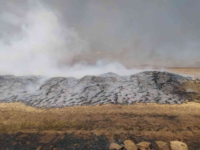 Siirt’te 100 Ton Buğday Yangında Kül Oldu