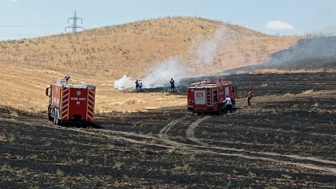 Siirt’te 100 Ton Buğday Yangında Kül Oldu