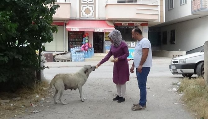 Başkasının Verdiği Ekmeği Yemedi, 45 Dakika İş Yeri Sahibinin Gelmesini Bekledi