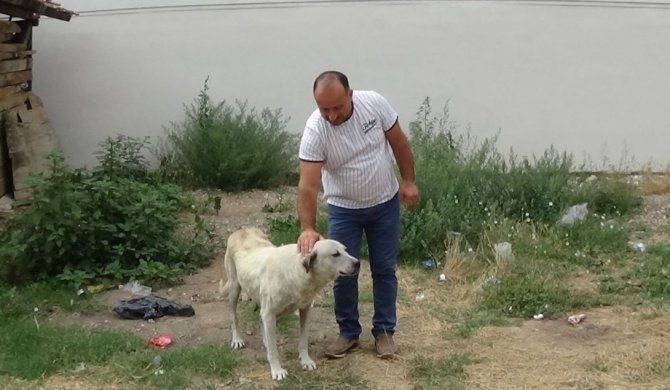 Başkasının Verdiği Ekmeği Yemedi, 45 Dakika İş Yeri Sahibinin Gelmesini Bekledi