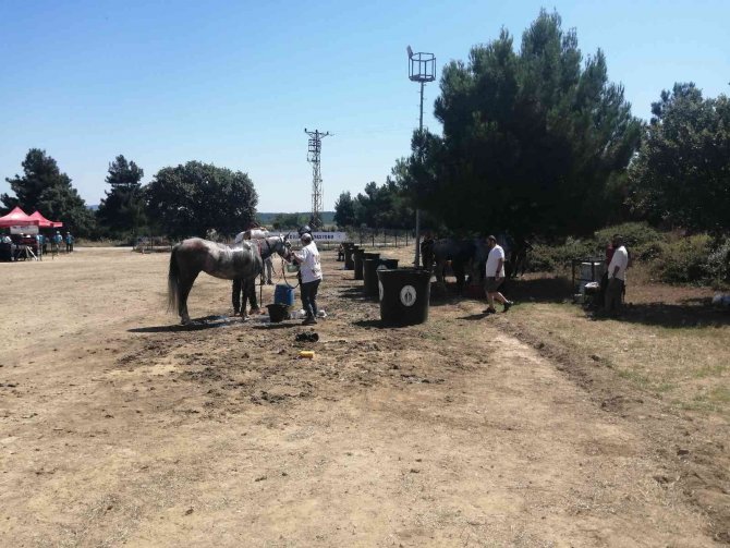 Uluslararası Atlı Dayanıklılık Yarışmaları Çanakkale’de Düzenleniyor
