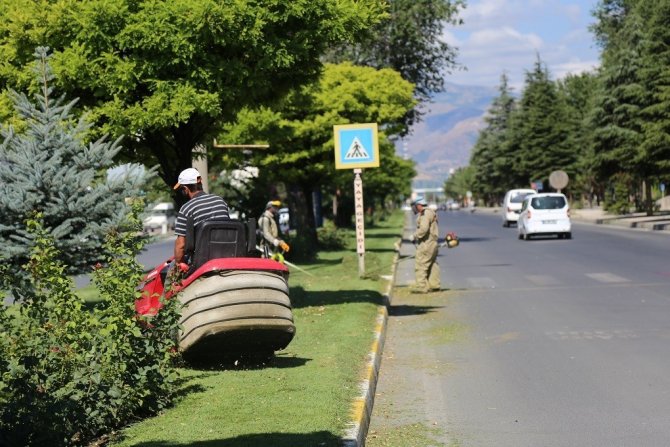 Yabani Ot Ve Biçme Çalışmaları Sürüyor