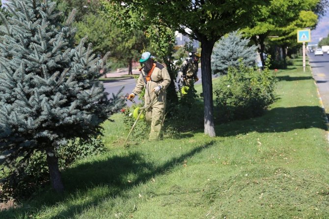 Yabani Ot Ve Biçme Çalışmaları Sürüyor