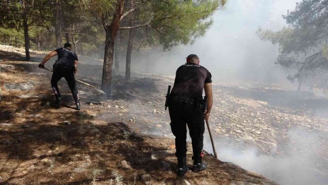 Adıyaman’da Orman Yangını Korkuttu