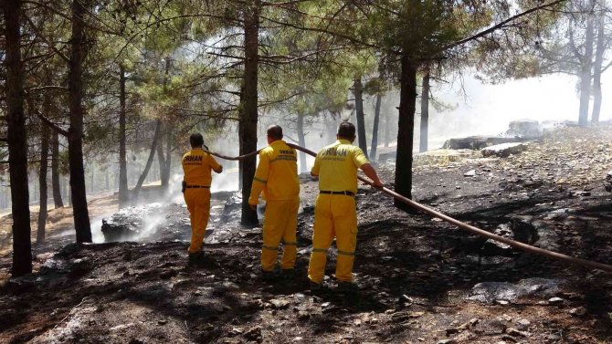 Adıyaman’da Orman Yangını Korkuttu
