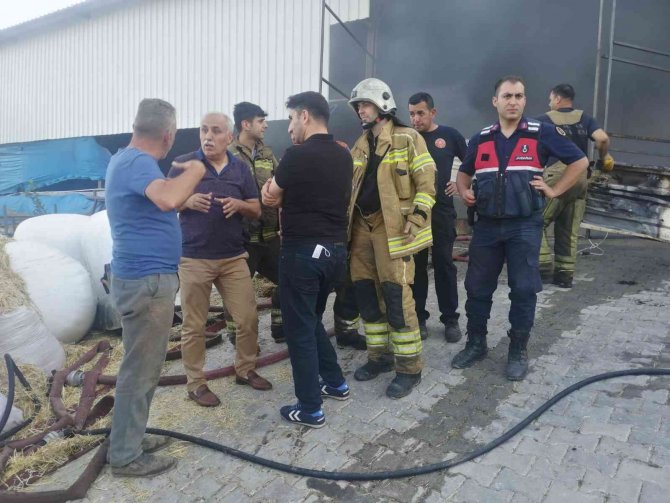 Küçükbaş Hayvan Çiftliğinde Yangın