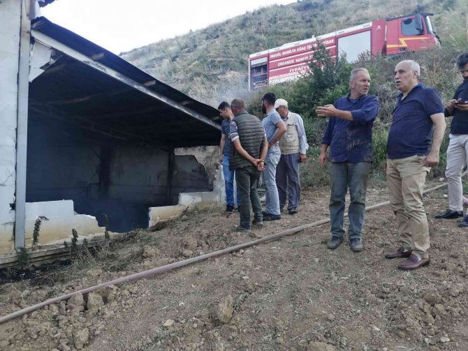 Hayvan Çiftliğinde Yangın Çıktı, 60 Hayvan Telef Oldu