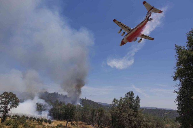 California’da Orman Yangını Nedeniyle Acil Durum İlan Edildi