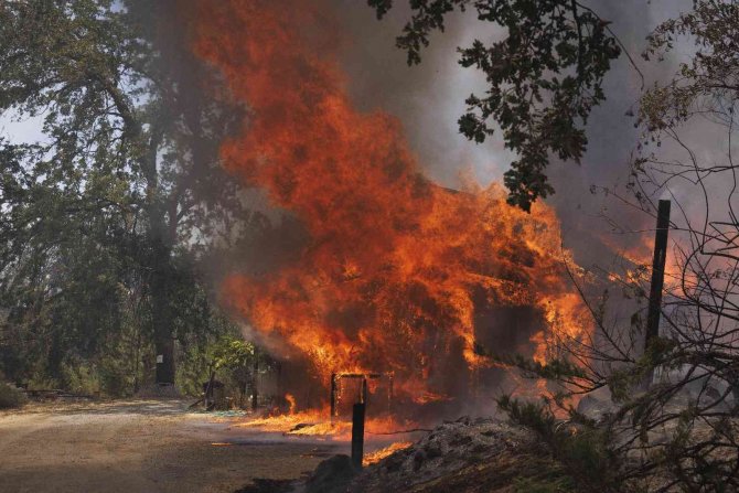 California’da Orman Yangını Nedeniyle Acil Durum İlan Edildi